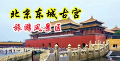果冻传媒堕落人妻之巧合91cm086中国北京-东城古宫旅游风景区